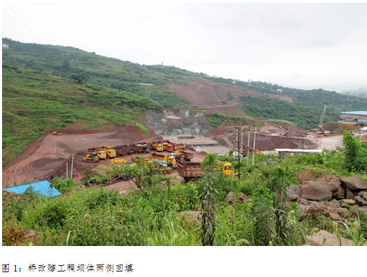 豐都(dōu)橋改隧工(gōng)程環境保護工(gōng)作(zuò)得(de)到(dào)國(guó)際菲迪克組織的(de)肯定